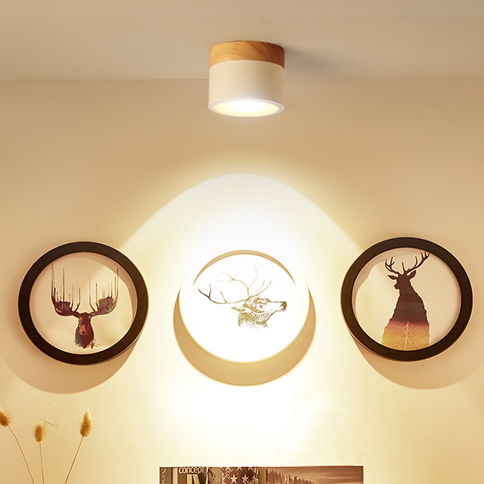 Plafonnier Spot Deckenlampe Design – Éclairage Économe en Énergie et Élégant 2